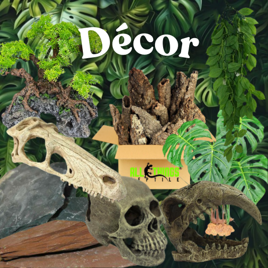 Décor image